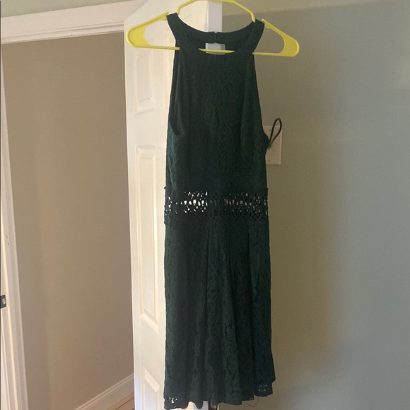 Elegant Green Lace Dress - Picture 1 of 4
